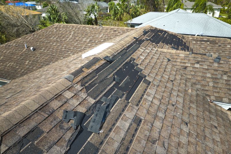 Damaged Shingles Replacement